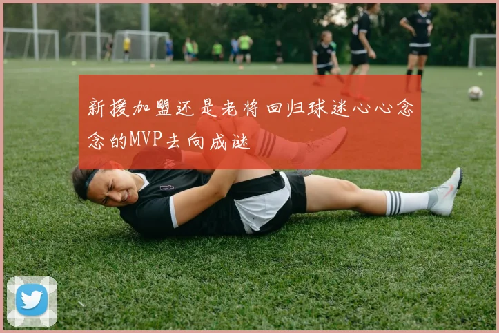 新援加盟还是老将回归球迷心心念念的MVP去向成谜