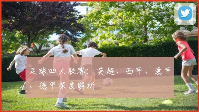 足球四大联赛:英超、西甲、意甲、德甲深度解析