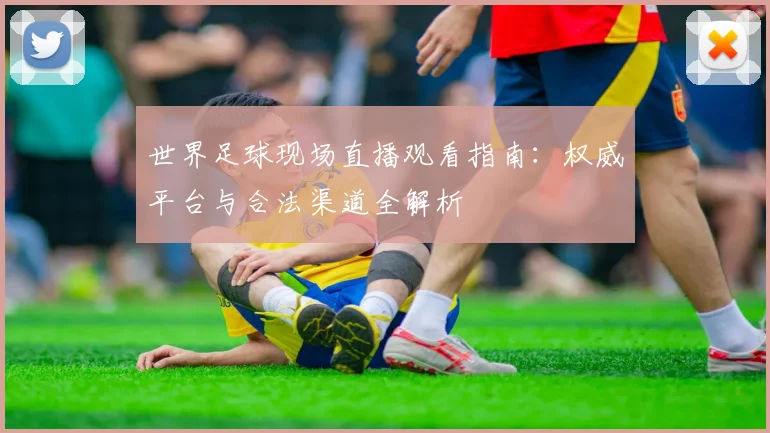 世界足球现场直播观看指南：权威平台与合法渠道全解析